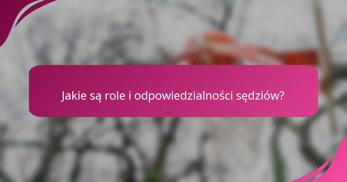 Jakie są role i odpowiedzialności sędziów?